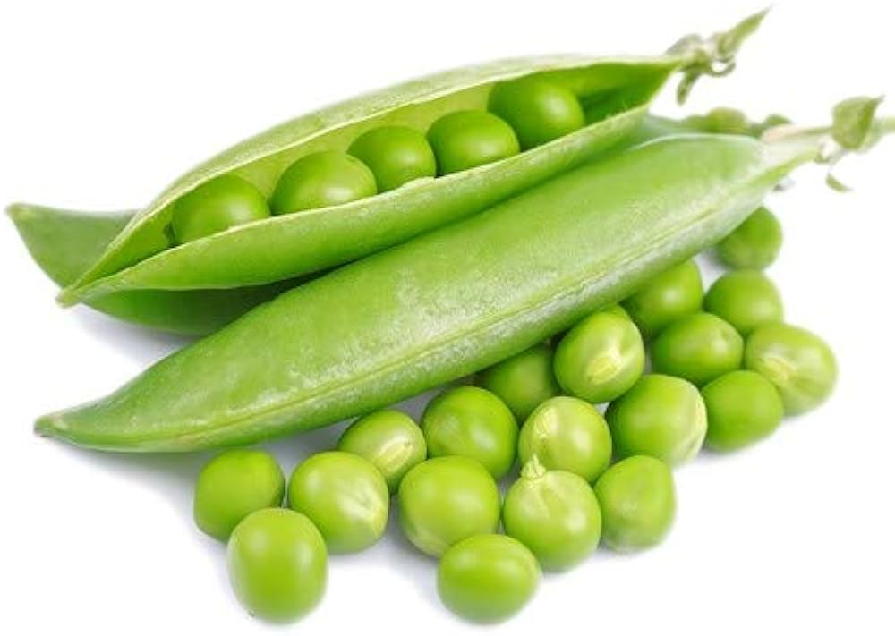 Zipper Cream Pea Pisum sativum Seeds for Planting in Vegetable Patch