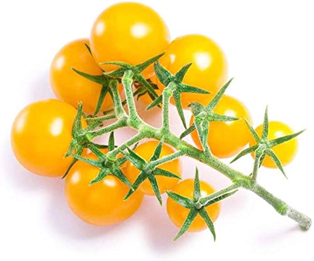 Gold Currant Tomato Seeds – Sweet, Small Heirloom Tomatoes for Your Garden