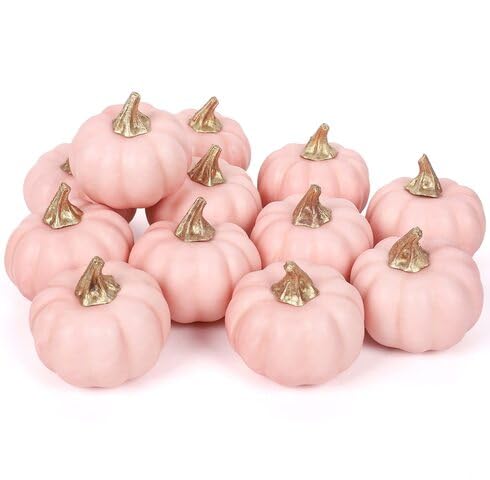 Pink Pumpkin - Heirloom, Non - Gmo Seeds