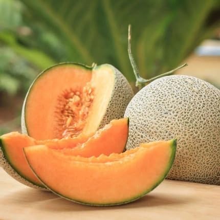 Muskmelon Fruit Orange - Heirloom, Non - Gmo Seeds