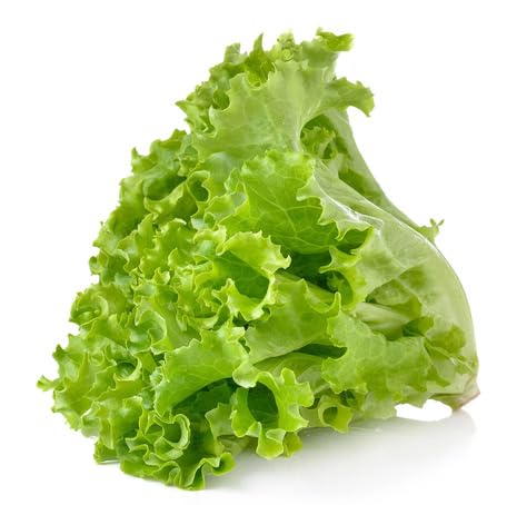 Green Lettuce - Heirloom, Non - Gmo Seeds