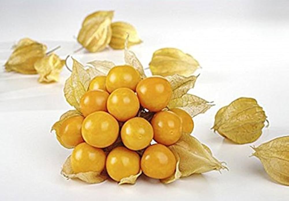 Tomatillo Konditer Physalis philadelphica vegetable seeds for planting in kitchen garden or home garden