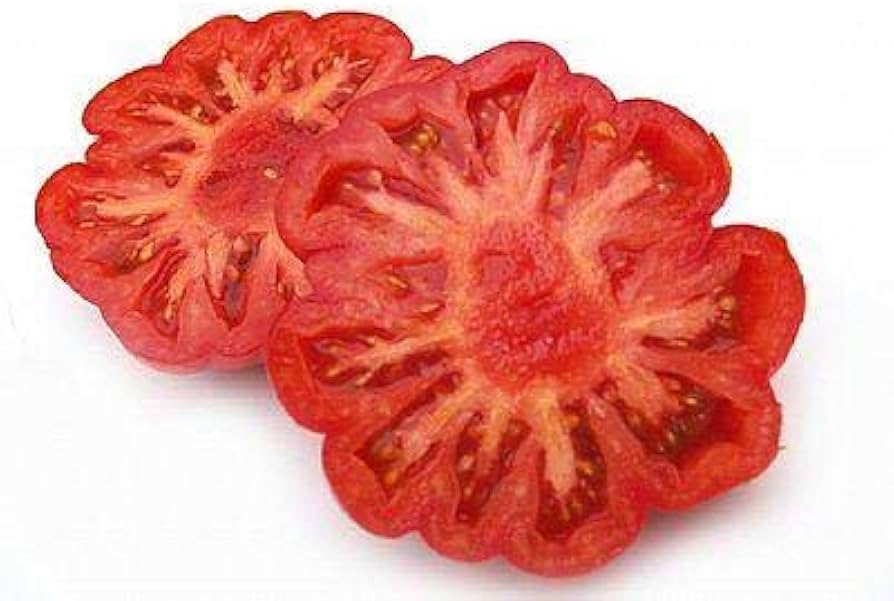 Costoluto Fiorentino Tomato Seeds Italian Heirloom Seeds