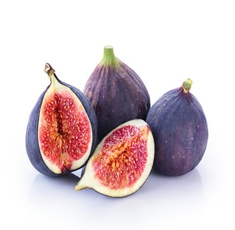 Brown Ficus Carica Fruit - Heirloom, Non - Gmo Seeds