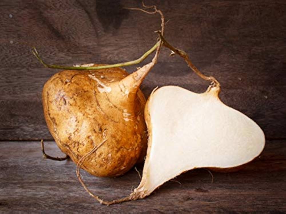 Yam Beans Pachyrhizus erosus for planting in vegetable patch