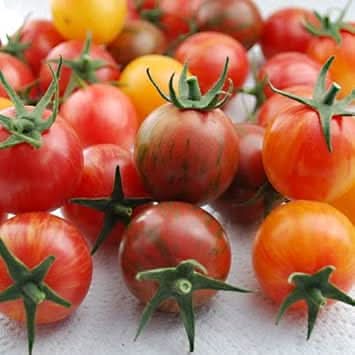 Tomato Seeds for Planting, Red Mix