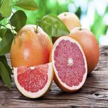 Red Pomelo Citrus Fruit - Heirloom, Non - Gmo Seeds