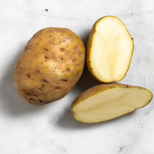 Brown Potato