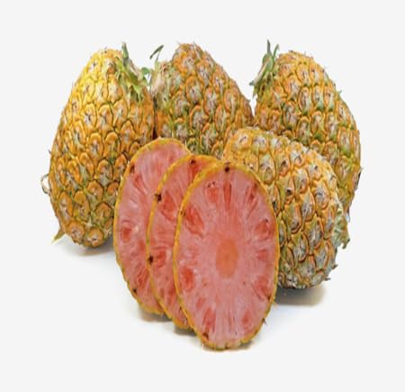 Pink Pineapple Fruit - Heirloom, Non - Gmo Seeds