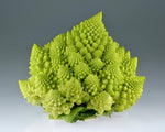 Romanesco broccoli – Brassica oleracea – for planting in home vegetable garden
