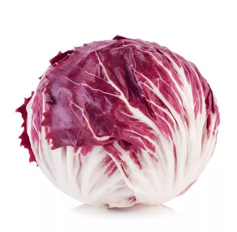 Red Radicchio - Heirloom, Non - Gmo Seeds
