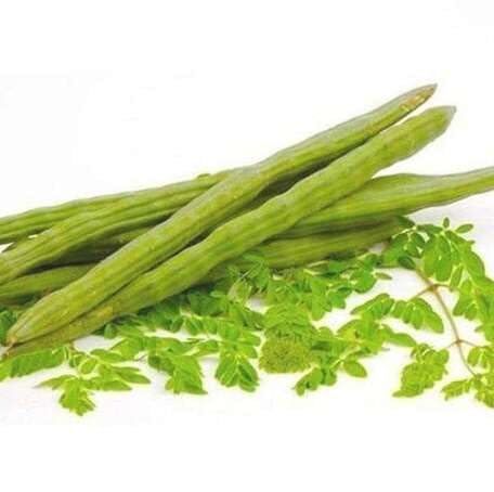 Green Moringa - Heirloom, Non - Gmo Seeds