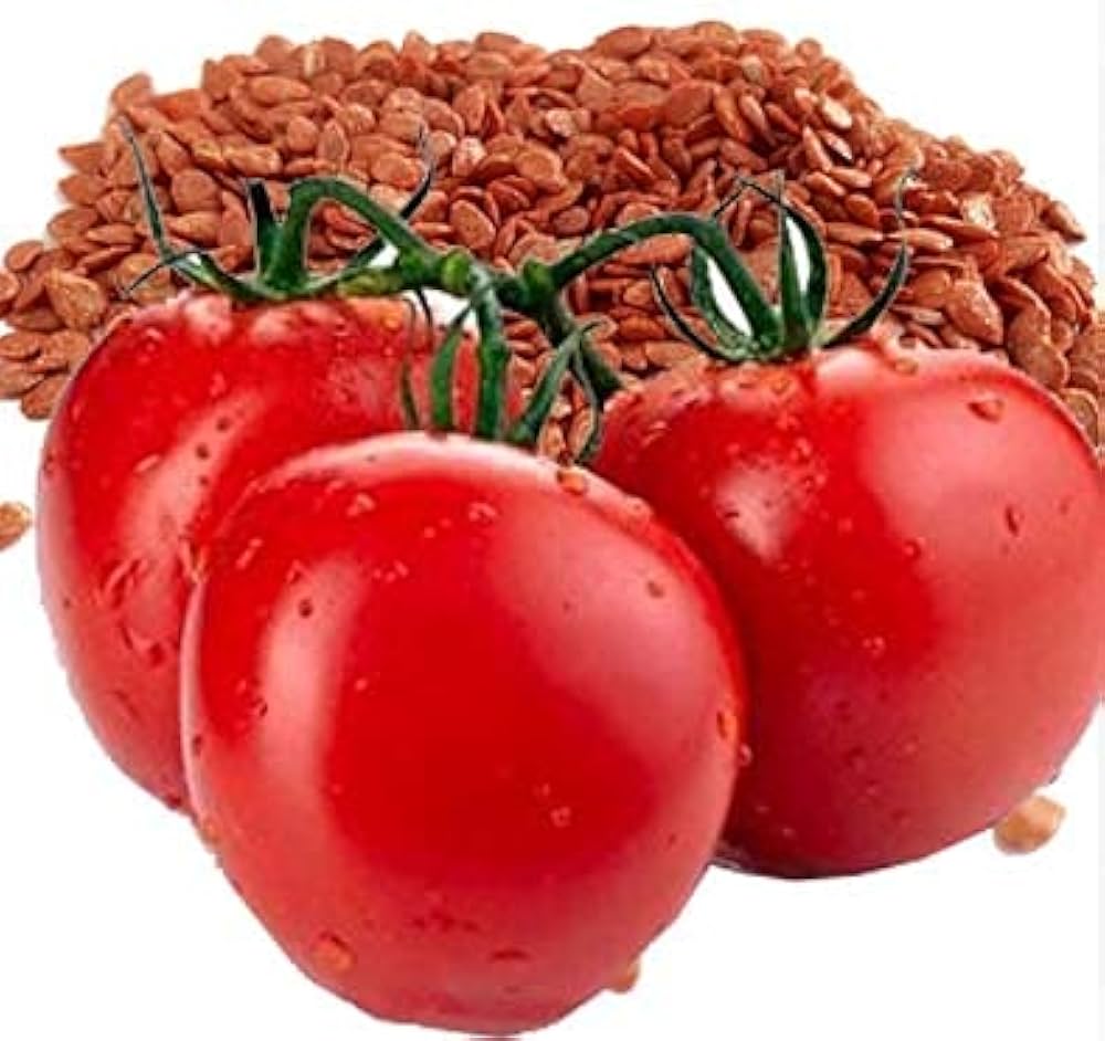 Tomato Supergonets Solanum lycopersicum vegetable seeds for planting in home garden or vertical garden