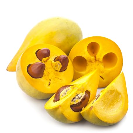 Yellow Lucuma Fruit - Heirloom, Non - Gmo Seeds