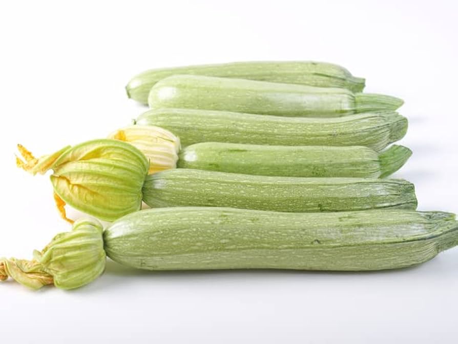 Gray Zucchini Heirloom Seeds Non-GMO Pcs for Gourmet Squash Garden