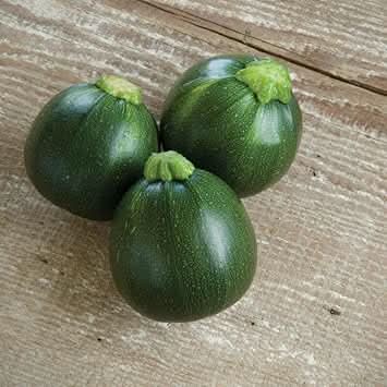 Eight Ball Squash Vegetable Seeds for Planting - heirloom & Non-GMO Garden Seeds