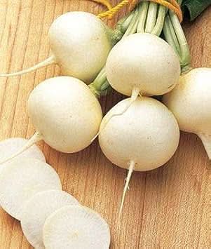 White Radish Seeds for Planting
