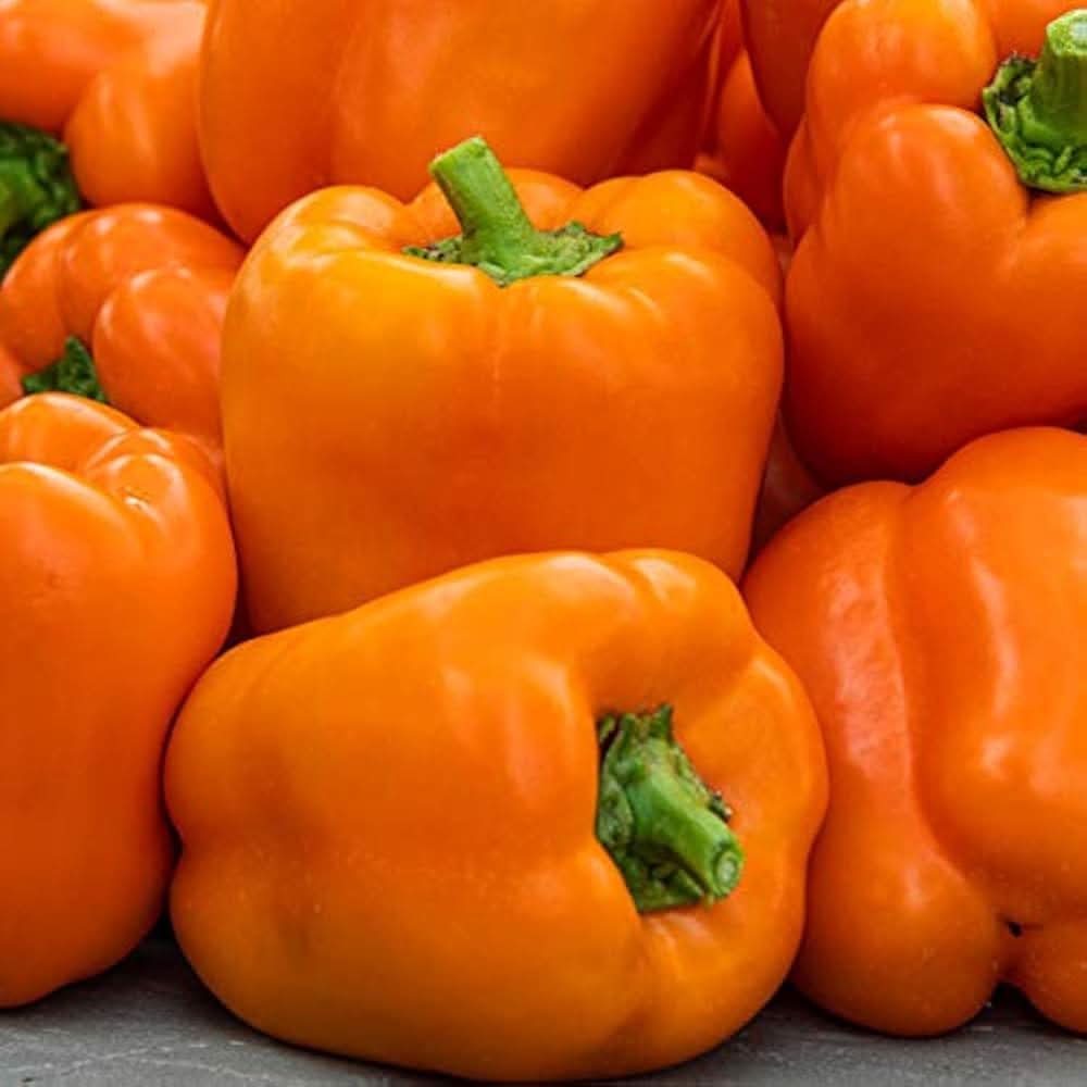 Sweet Coral Belle Pepper Plant Seeds