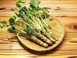 Horseradish Seeds for Planting