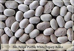 San Felipe Pueblo White Tepary Heirloom Non Gmo Image