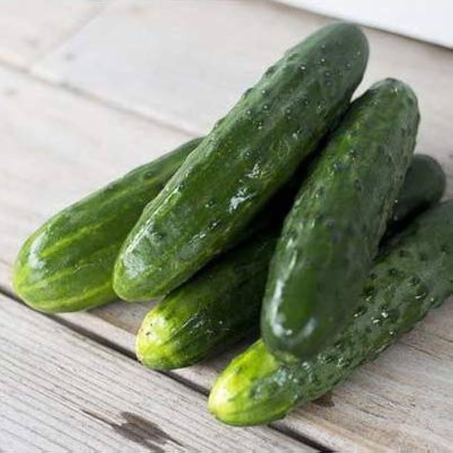 Spacemaster Cucumber Seeds for Compact and Productive Home Vegetable Gardens
