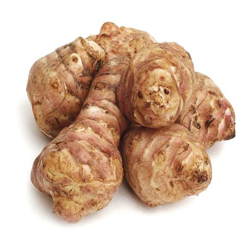 Brown Topinambur - Heirloom, Non - Gmo Seeds
