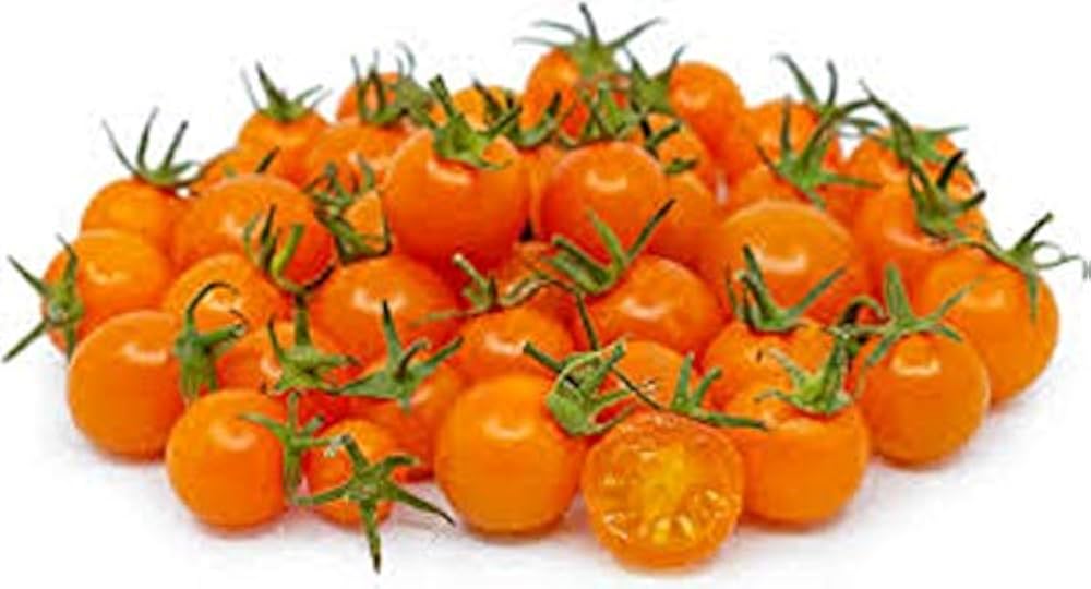 Sun Gold Tomato Vegetable Seeds for Planting