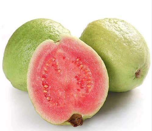 Green Psidium Fruit - Heirloom, Non - Gmo Seeds