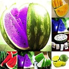 Mixed Watermelon Fruit Heirloom Non Gmo Image