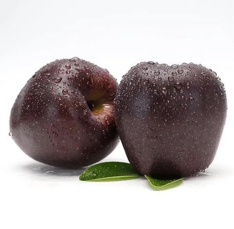 Black Apple Fruit - Heirloom, Non - Gmo Seeds
