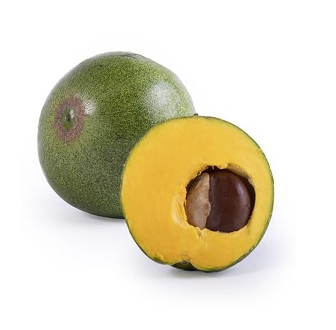 Green Lucuma Fruit - Heirloom, Non - Gmo Seeds