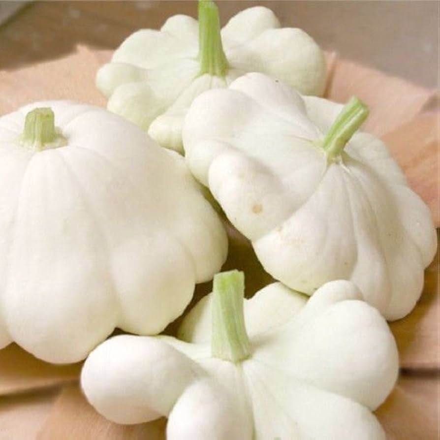 White Patisson Squash Seeds – Non-GMO Heirloom Scallop Variety
