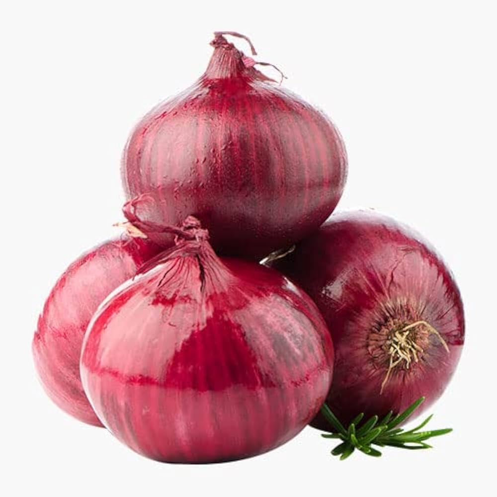 Onion Allium cepa vegetable seeds for planting in kitchen garden and raised beds