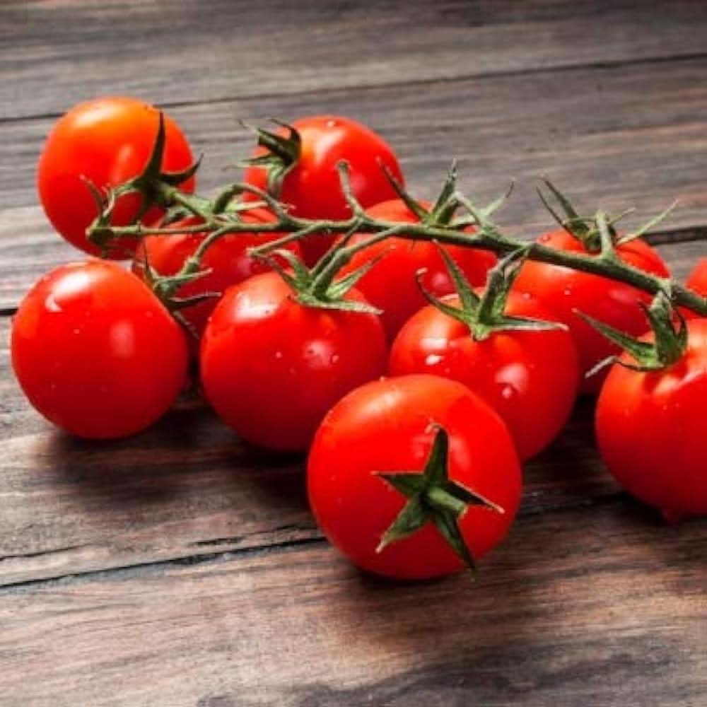 Cherry Tomato Solanum Lycopersicum vegetable seeds for planting in kitchen garden and balcony planters