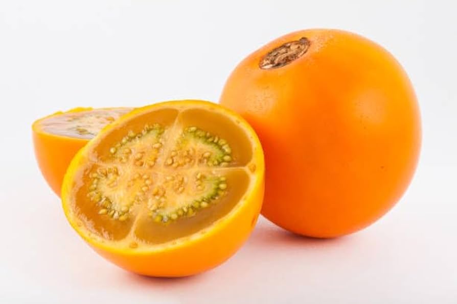 Lulo Fruit Seeds for Planting Solanum quitoense for tropical gardens and vegetable patches