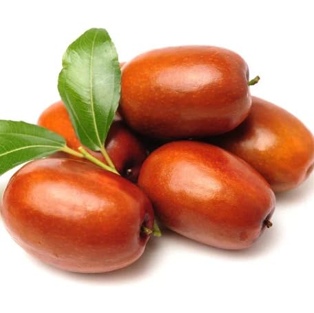 Red Jujube Fruit - Heirloom, Non - Gmo Seeds