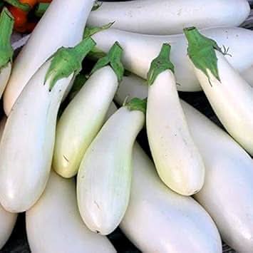 Eggplant Sweet vegetables Seeds for Planting White