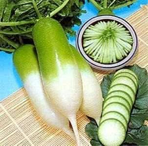 Rainbow Radish Seeds for Planting Green White