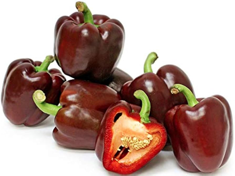 Chocolate Beauty Sweet Pepper Seeds Capsicum annuum for Planting in Vegetable Patch or Urban Garden