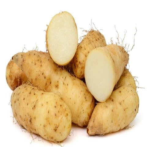 Brown Yam - Heirloom, Non - Gmo Seeds