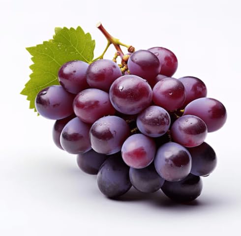 Purple Grapes Fruit - Heirloom, Non - Gmo Seeds
