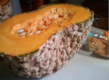 Brown Pumpkin Fruit Heirloom Non Gmo Image