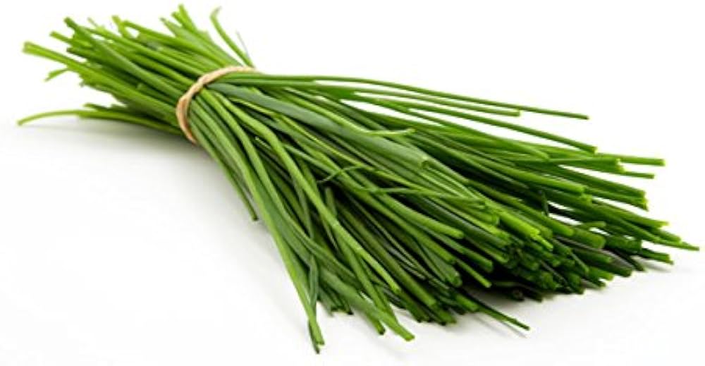 Small Chives Vegetable Seeds for Planting