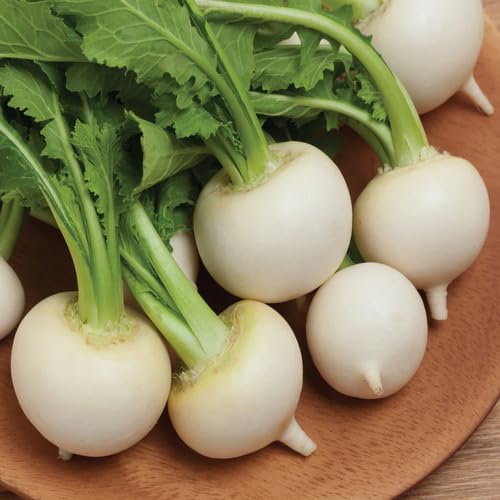 White Turnip - Heirloom, Non - Gmo Seeds