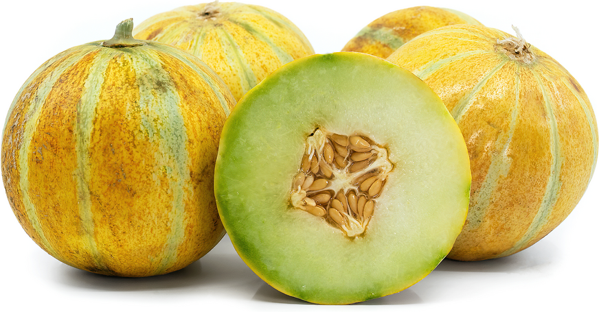 Ogden Melon (Cucumis melo) Seeds