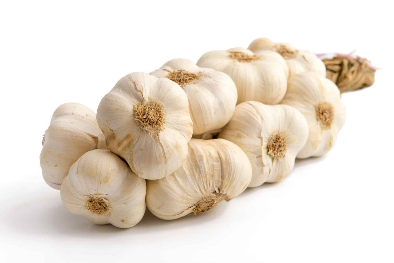 Garlic Nootka Rose Bulbs