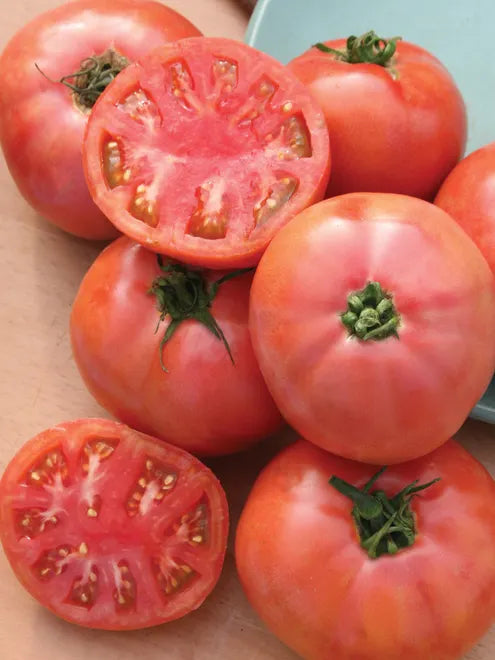 Tomato Seeds (Organic) - Brandywine