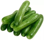 Arola Cucumber Cucumis sativus for planting in home garden