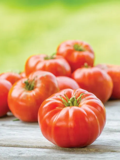 Tomato Seeds (Organic) - Mortgage Lifter