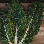 heirloom-nutrient-rich-swiss-chard-for-cooking

